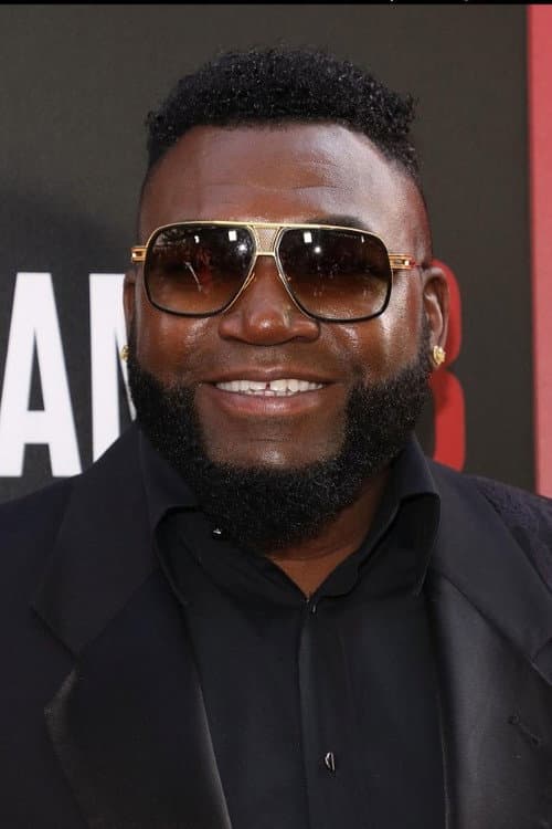 David Ortiz_poster