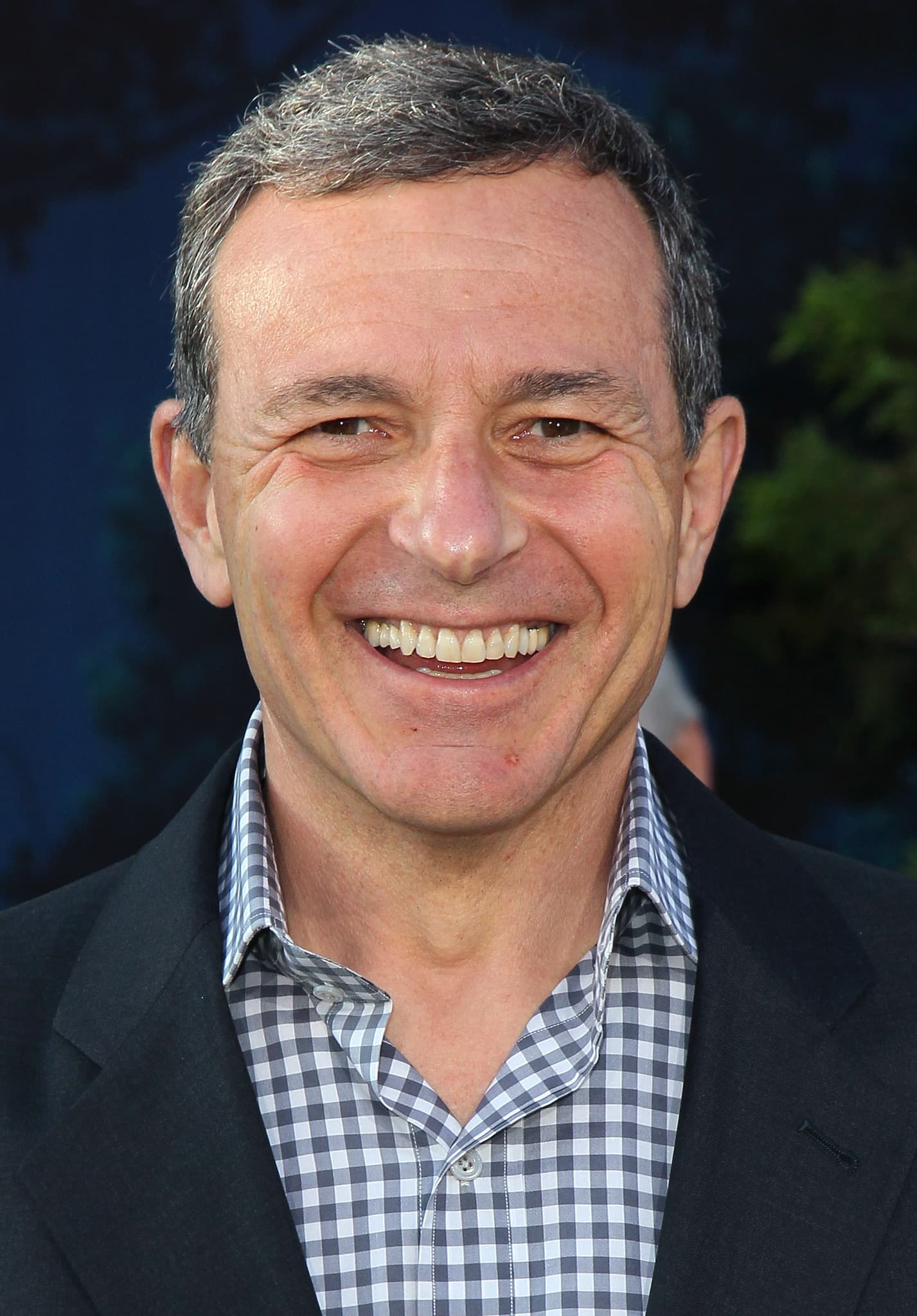 Bob Iger_poster