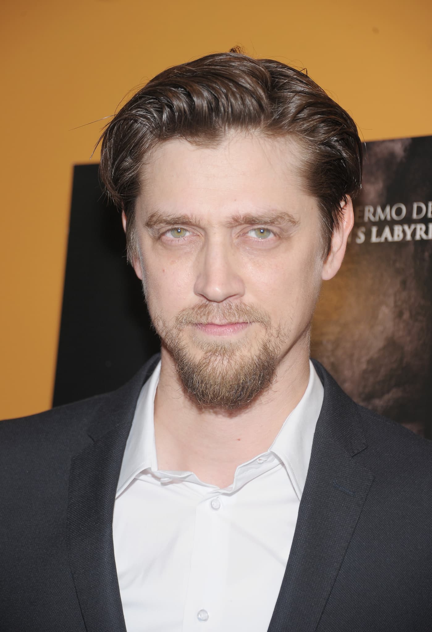Andy Muschietti_poster
