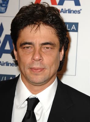 Benicio Del Toro_poster