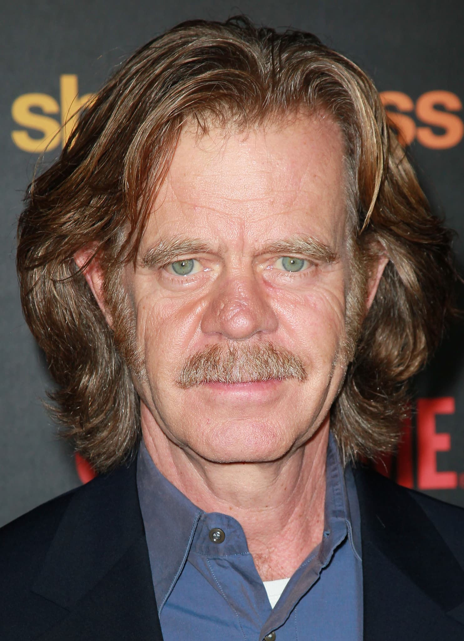 William H. Macy_poster