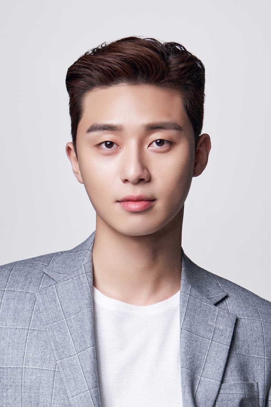 Park Seo-joon_poster